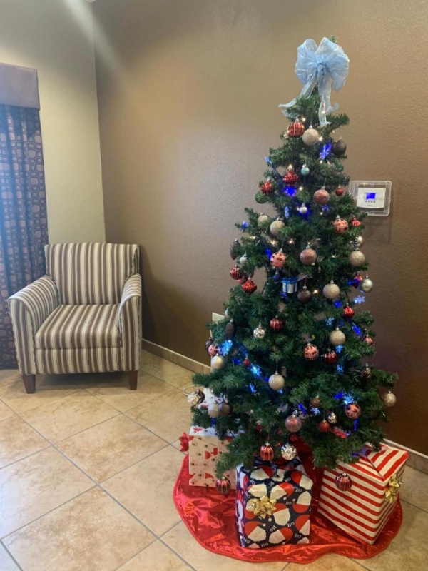 Microtel Inn & Suites by Wyndham Sayre image 29